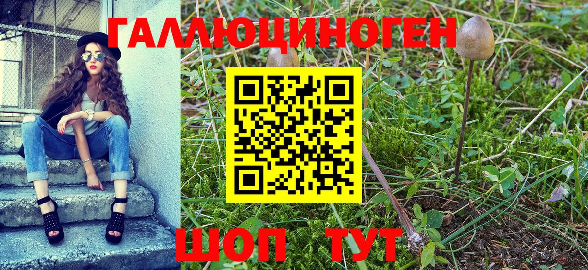 Кумертау  Галлюциногенные грибы Psilocybine cubensis  Вход с VPN  Псилоцибиновые грибы Magic Shrooms 